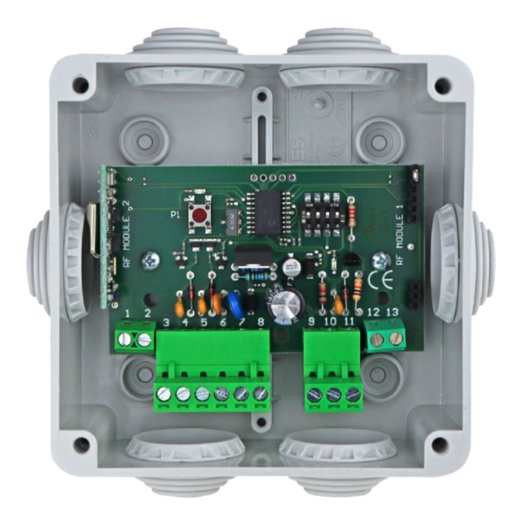 image_1024-1065.jpg Receptor Wiegand externo 433MHz IP55 - Imagen 1