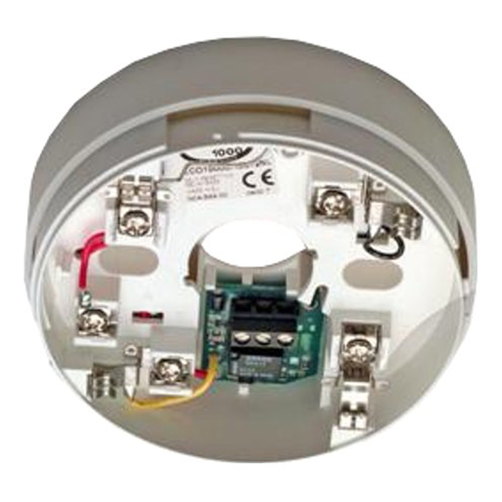 image_1024-4264.jpg Base con Relé sin autoenclave (Non-Latching) 12V - Imagen 1